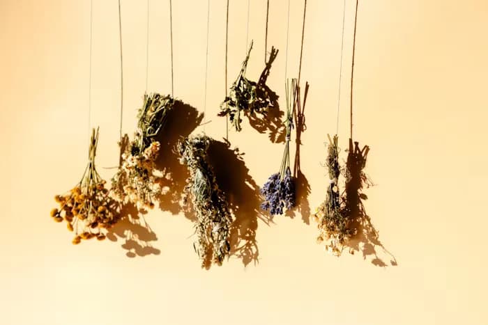 Whisks, Scrubs, and Aromatherapy