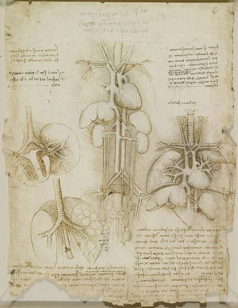 Respiratory Health